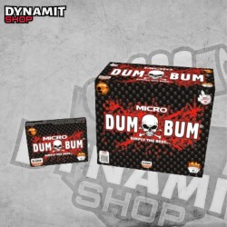 Dum Bum Micro P2D
